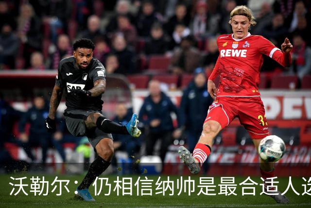 沃勒尔：仍相信纳帅是最合适人选 德国很难接受近3届世界杯表现