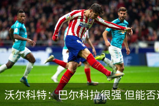 沃尔科特：巴尔科拉很强 但能否适应英超？我更倾向于买罗杰斯